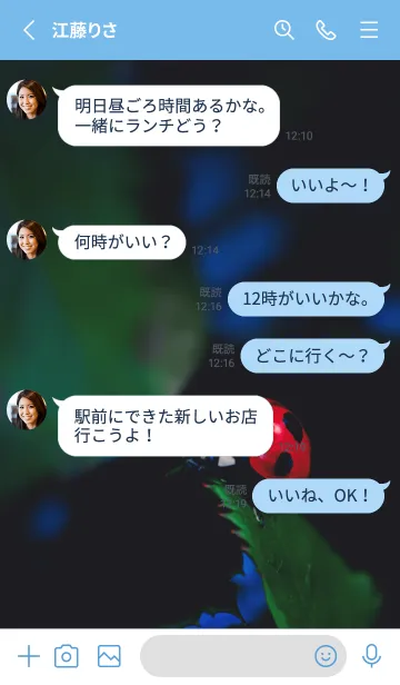 [LINE着せ替え] Ladybird Symbol of good luck #4-10の画像3