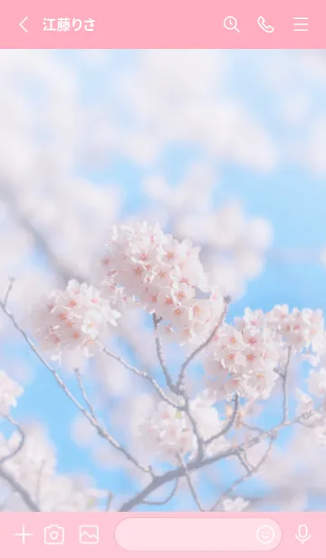 [LINE着せ替え] SakuraBokeh 43の画像2