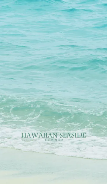[LINE着せ替え] HAWAIIAN SEASIDE - HAWAII 6の画像1