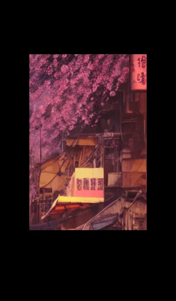 [LINE着せ替え] 和の夜桜#ED221。の画像1