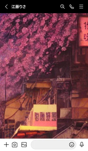 [LINE着せ替え] 和の夜桜#ED221。の画像2