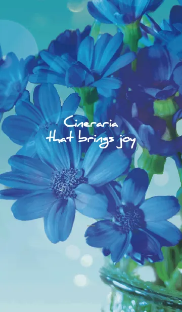 [LINE着せ替え] 青 : 喜びを運ぶサイネリアの画像1