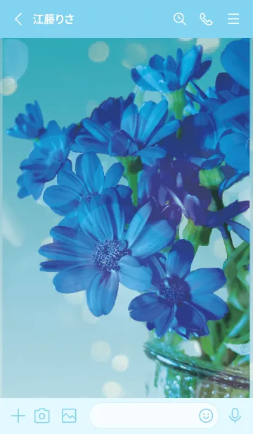 [LINE着せ替え] 青 : 喜びを運ぶサイネリアの画像2