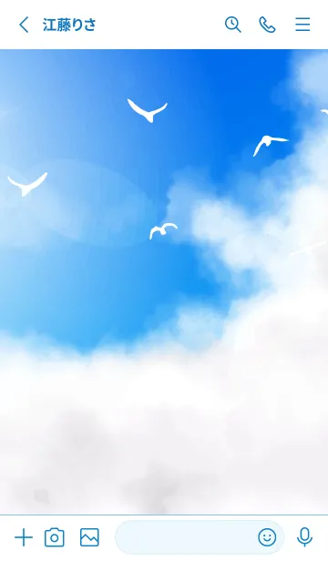 [LINE着せ替え] 空と鳥の着せかえ 白と青の画像2