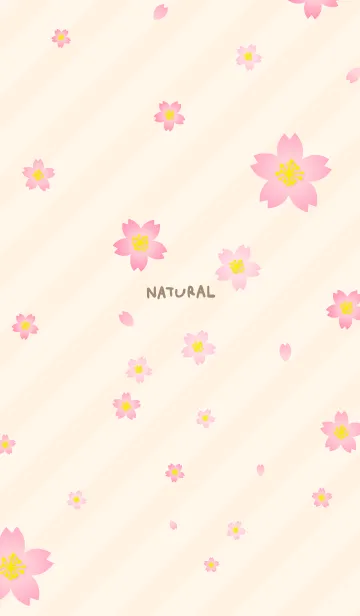 [LINE着せ替え] 桜舞う季節3の画像1