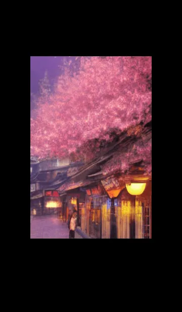 [LINE着せ替え] 和の夜桜#EE215。の画像1