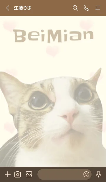 [LINE着せ替え] BeiBeiUniverseの画像2