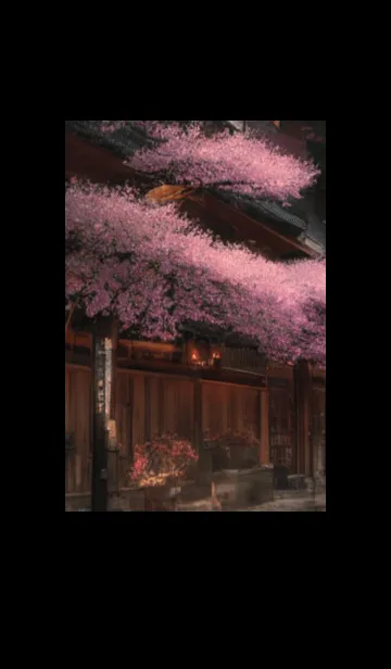 [LINE着せ替え] 和の夜桜#EF012。の画像1