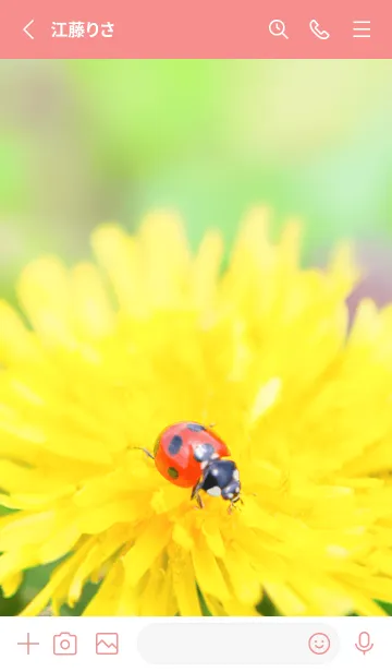 [LINE着せ替え] Ladybird Symbol of good luck #3-11の画像2