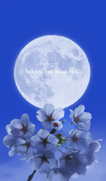 [LINE着せ替え] Sakura Full Moon #1-17の画像1