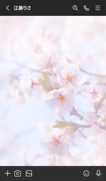 [LINE着せ替え] SakuraBokeh 47の画像2