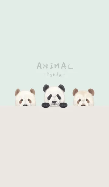 [LINE着せ替え] ANIMAL - パンダ - パステルグリーンの画像1