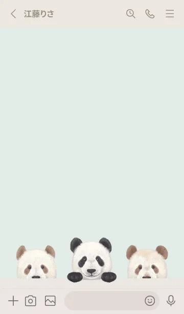 [LINE着せ替え] ANIMAL - パンダ - パステルグリーンの画像2