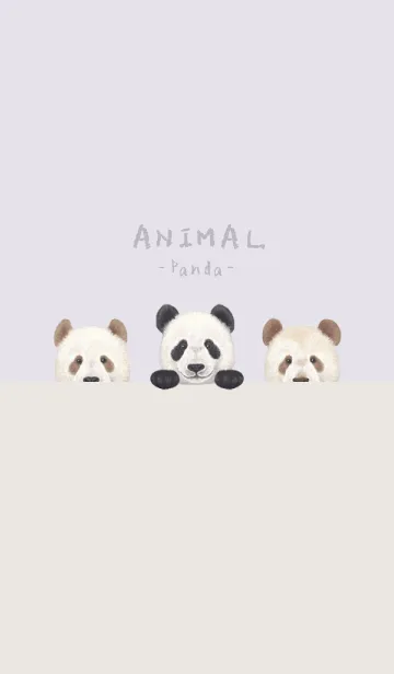 [LINE着せ替え] ANIMAL - パンダ - パステルパープルの画像1