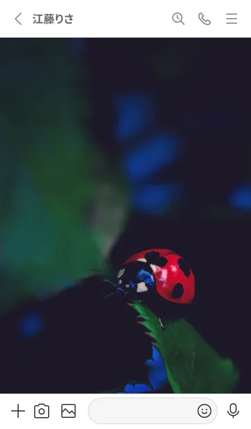 [LINE着せ替え] Ladybird Symbol of good luck #4-11の画像2