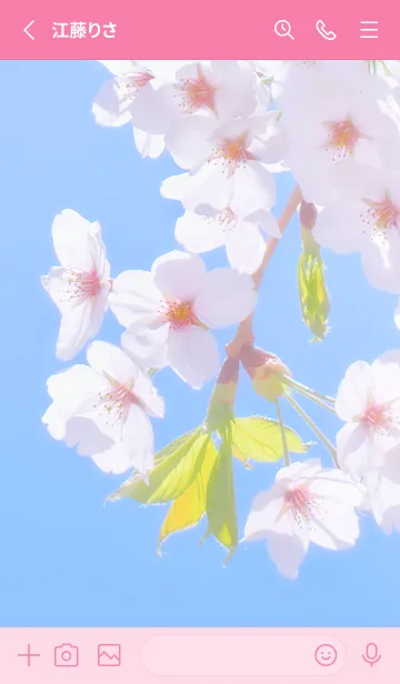 [LINE着せ替え] SakuraBokeh 48の画像2