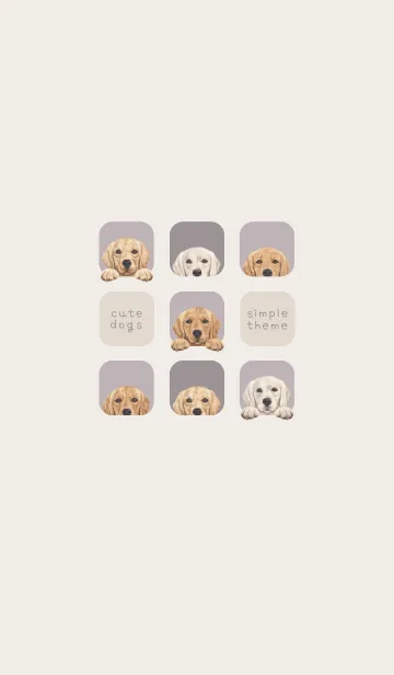 [LINE着せ替え] DOGS-ゴールデンレトリバー-パープルグレーの画像1