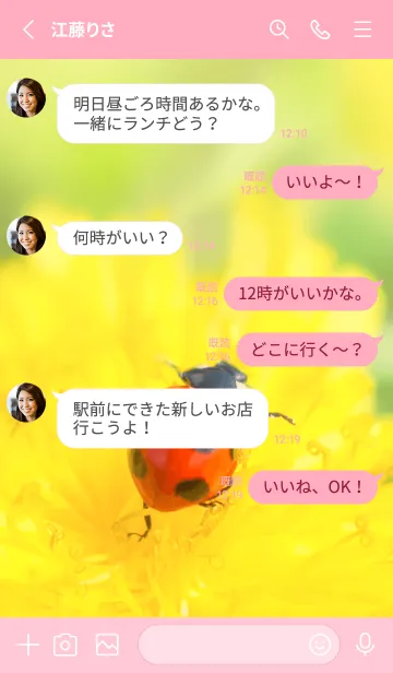 [LINE着せ替え] Ladybird Symbol of good luck #1-12の画像3