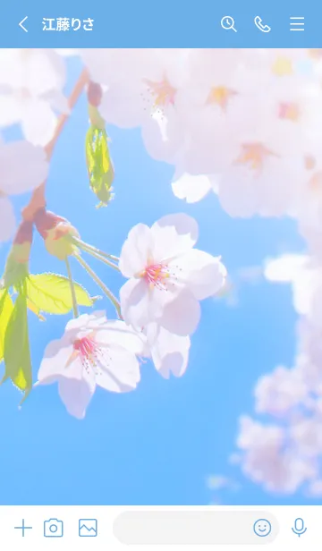 [LINE着せ替え] SakuraBokeh 49の画像2