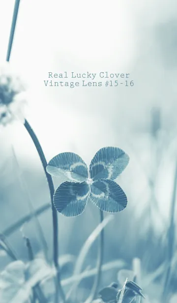 [LINE着せ替え] 四つ葉のクローバー Vintage Lens #15-16の画像1