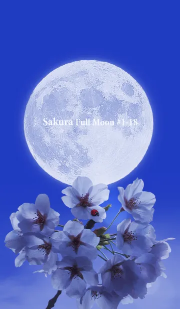 [LINE着せ替え] Sakura Full Moon #1-18の画像1
