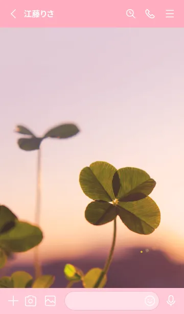 [LINE着せ替え] 四つ葉のクローバー Vintage Lens #16-7の画像2