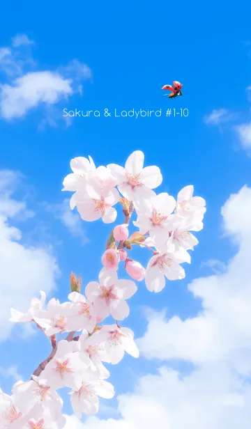 [LINE着せ替え] Sakura & Ladybird #1-10の画像1