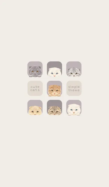 [LINE着せ替え] CATS - スコティッシュ - パープルグレーの画像1