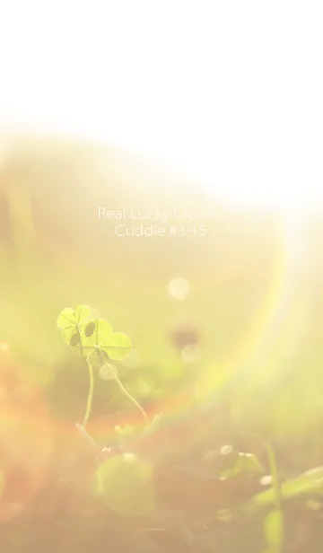 [LINE着せ替え] 四つ葉のクローバー Cuddle #3-15の画像1