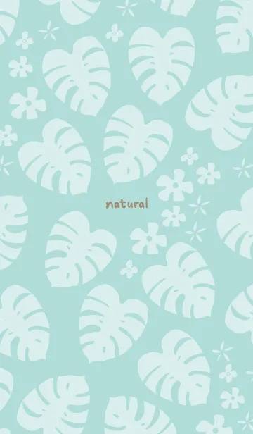 [LINE着せ替え] モンステラ 白 ランダム13の画像1