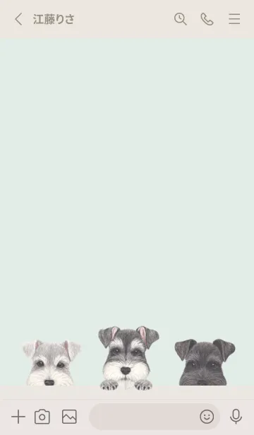 [LINE着せ替え] シュナウザー - パステルグリーンの画像2