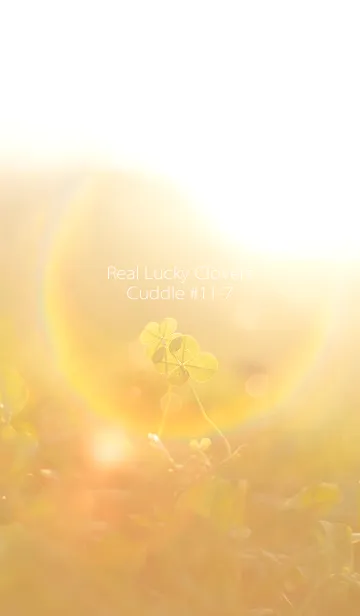 [LINE着せ替え] 四つ葉のクローバー Cuddle #11-7の画像1