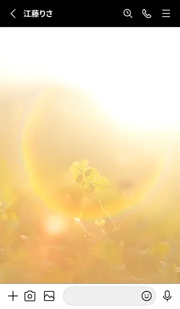 [LINE着せ替え] 四つ葉のクローバー Cuddle #11-7の画像2