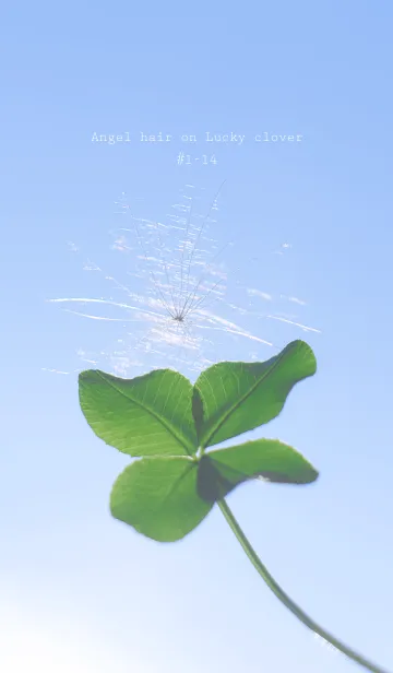 [LINE着せ替え] 幸運の妖精ケサランパサラン #1-14の画像1