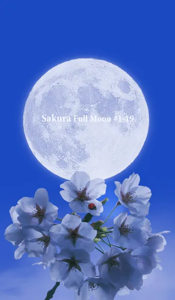 [LINE着せ替え] Sakura Full Moon #1-19の画像1