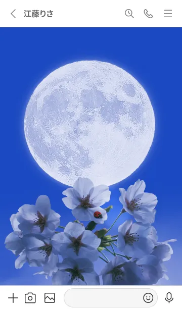 [LINE着せ替え] Sakura Full Moon #1-19の画像2