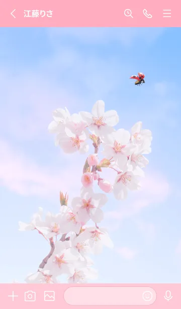 [LINE着せ替え] Sakura & Ladybird #3-10の画像2