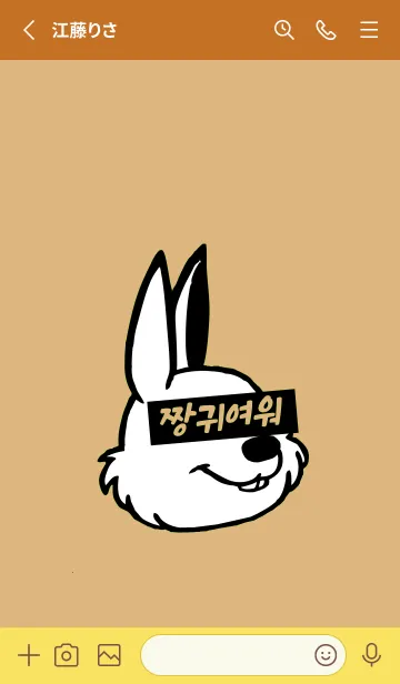 [LINE着せ替え] 韓国 ラビット 10の画像2