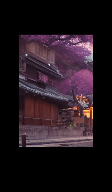 [LINE着せ替え] 和の夜桜#EL328。の画像1