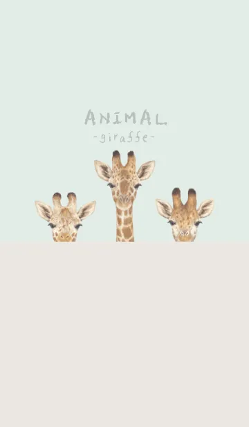 [LINE着せ替え] ANIMAL - キリン - パステルグリーンの画像1