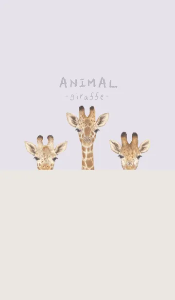 [LINE着せ替え] ANIMAL - キリン - パステルパープルの画像1