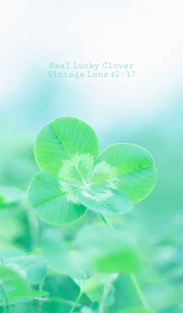 [LINE着せ替え] 四つ葉のクローバー Vintage Lens #2-17の画像1