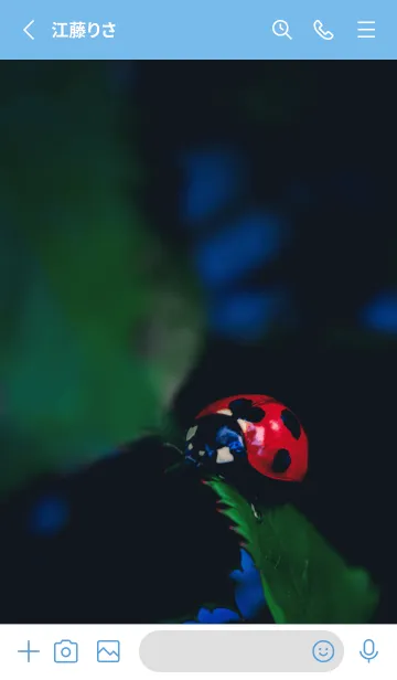 [LINE着せ替え] Ladybird Symbol of good luck #4-12の画像2