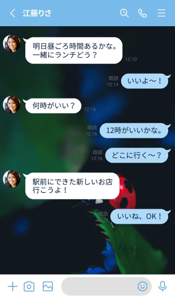 [LINE着せ替え] Ladybird Symbol of good luck #4-12の画像3