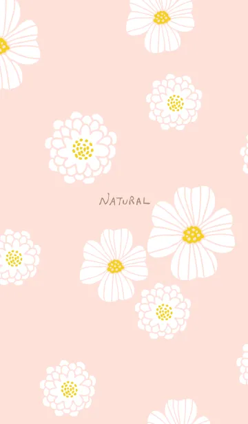 白い花 可愛いの着せ替えメイン画像