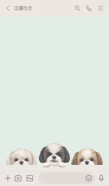 [LINE着せ替え] ワンワン- シーズー -パステルグリーンの画像2