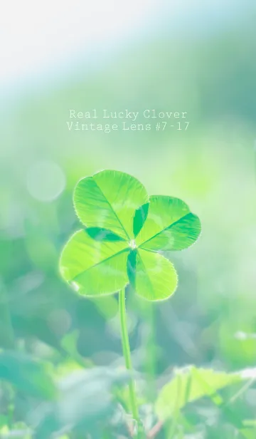 [LINE着せ替え] 四つ葉のクローバー Vintage Lens #7-17の画像1