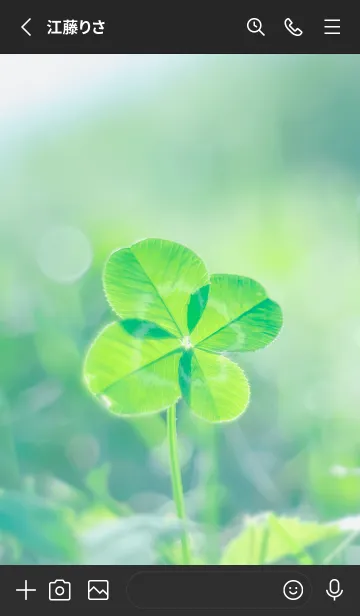 [LINE着せ替え] 四つ葉のクローバー Vintage Lens #7-17の画像2