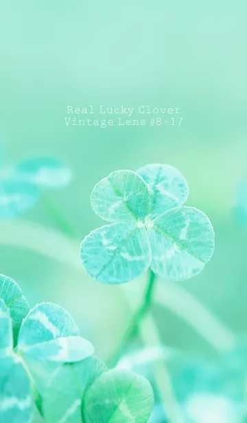 [LINE着せ替え] 四つ葉のクローバー Vintage Lens #8-17の画像1