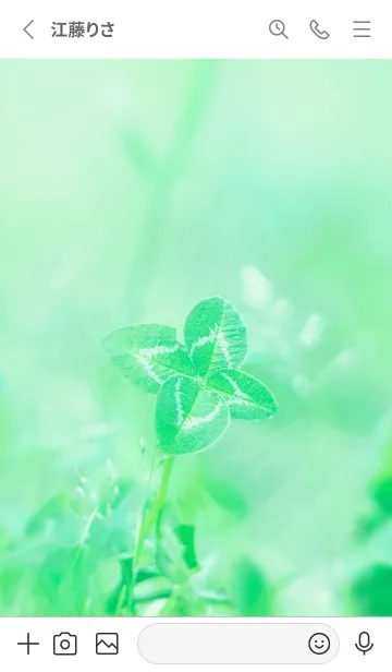 [LINE着せ替え] 四つ葉のクローバー Vintage Lens #14-17の画像2